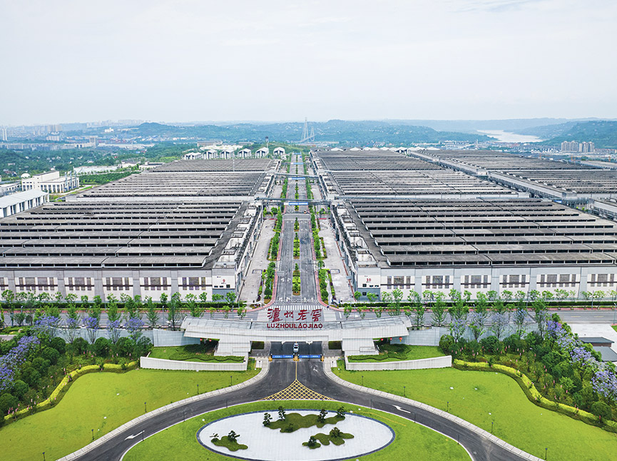 权门国际官网-钻营健全,你我一路成长