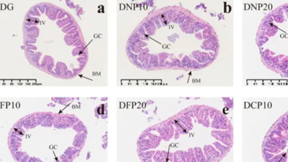 权门国际官网-钻营健全,你我一路成长